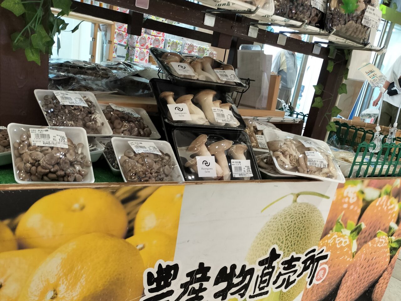 きのこコーナー