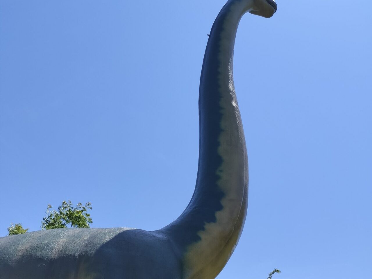 恐竜広場
