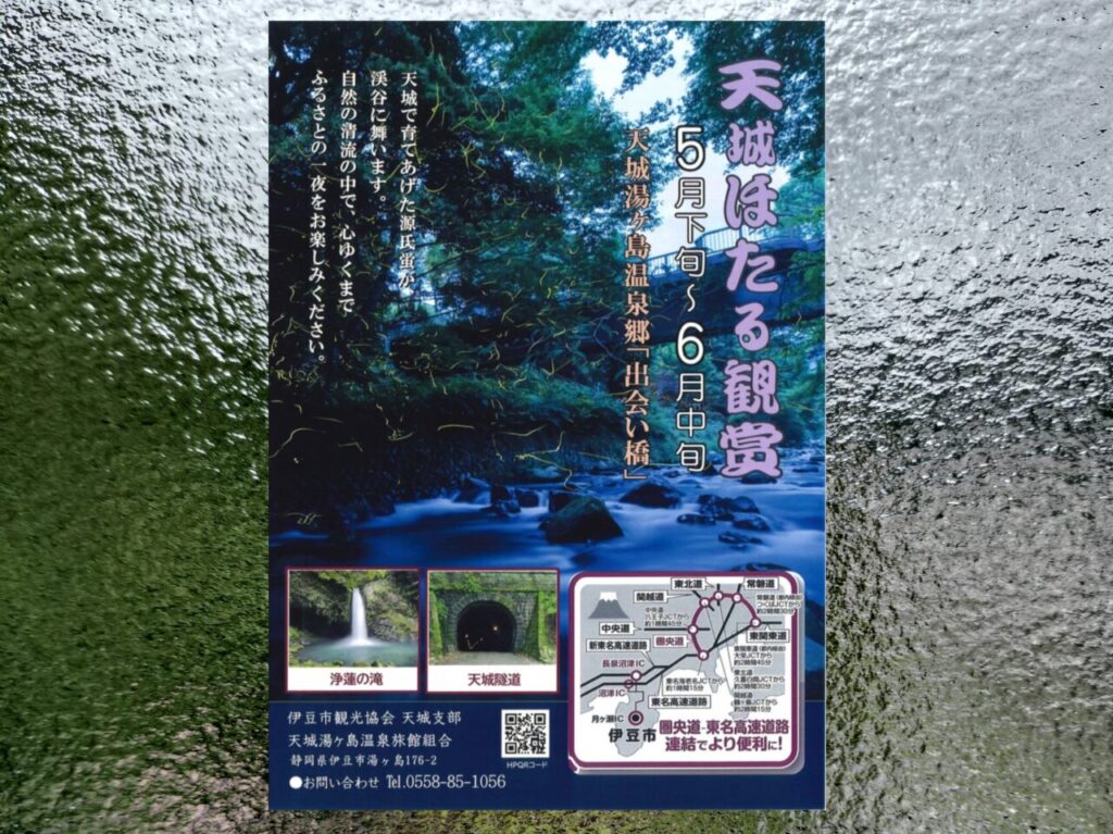 天城ほたる鑑賞