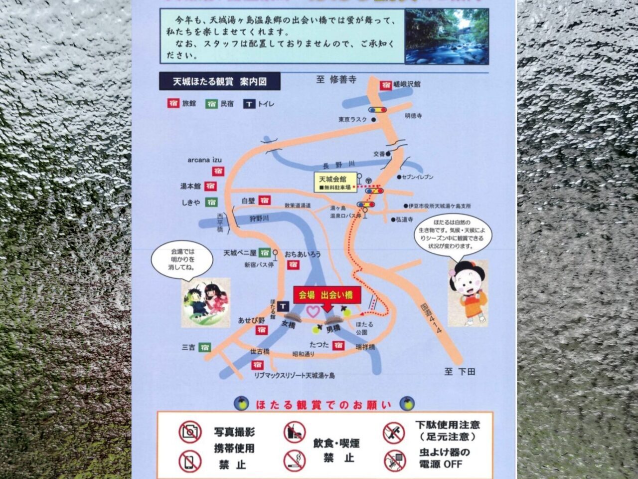 天城ほたる3