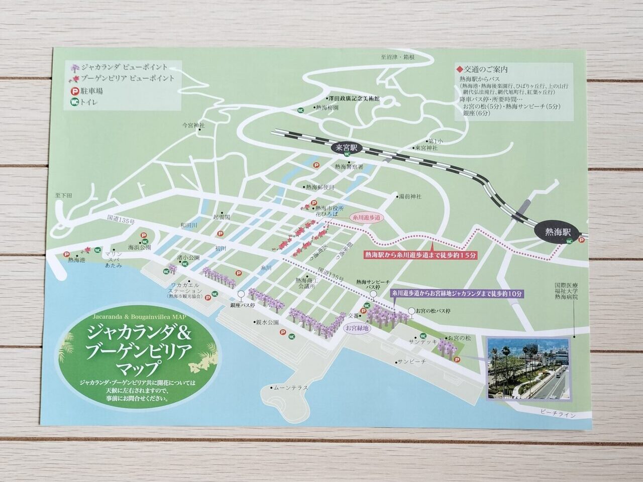ジャカランダ散歩道