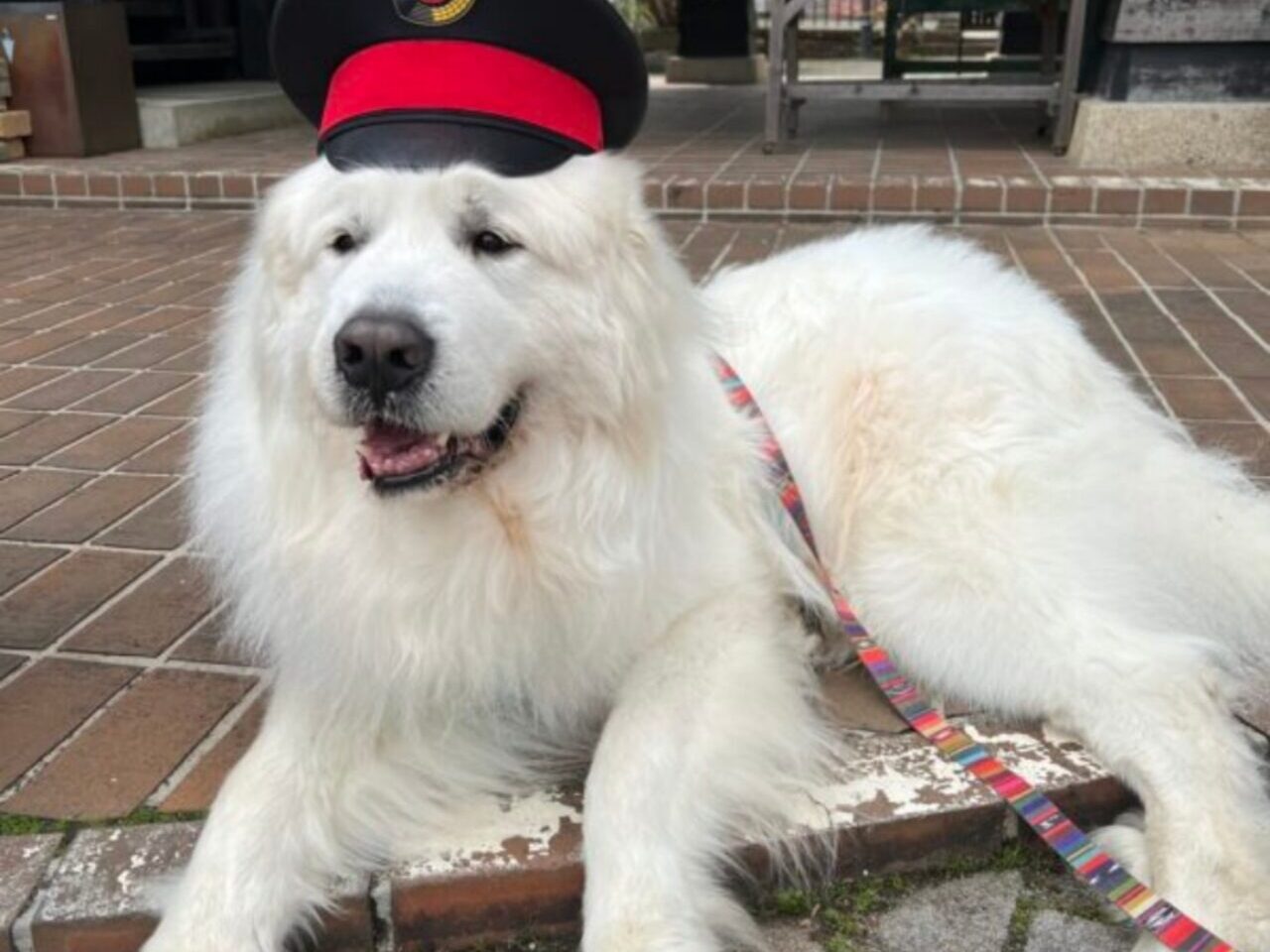 えいいち君