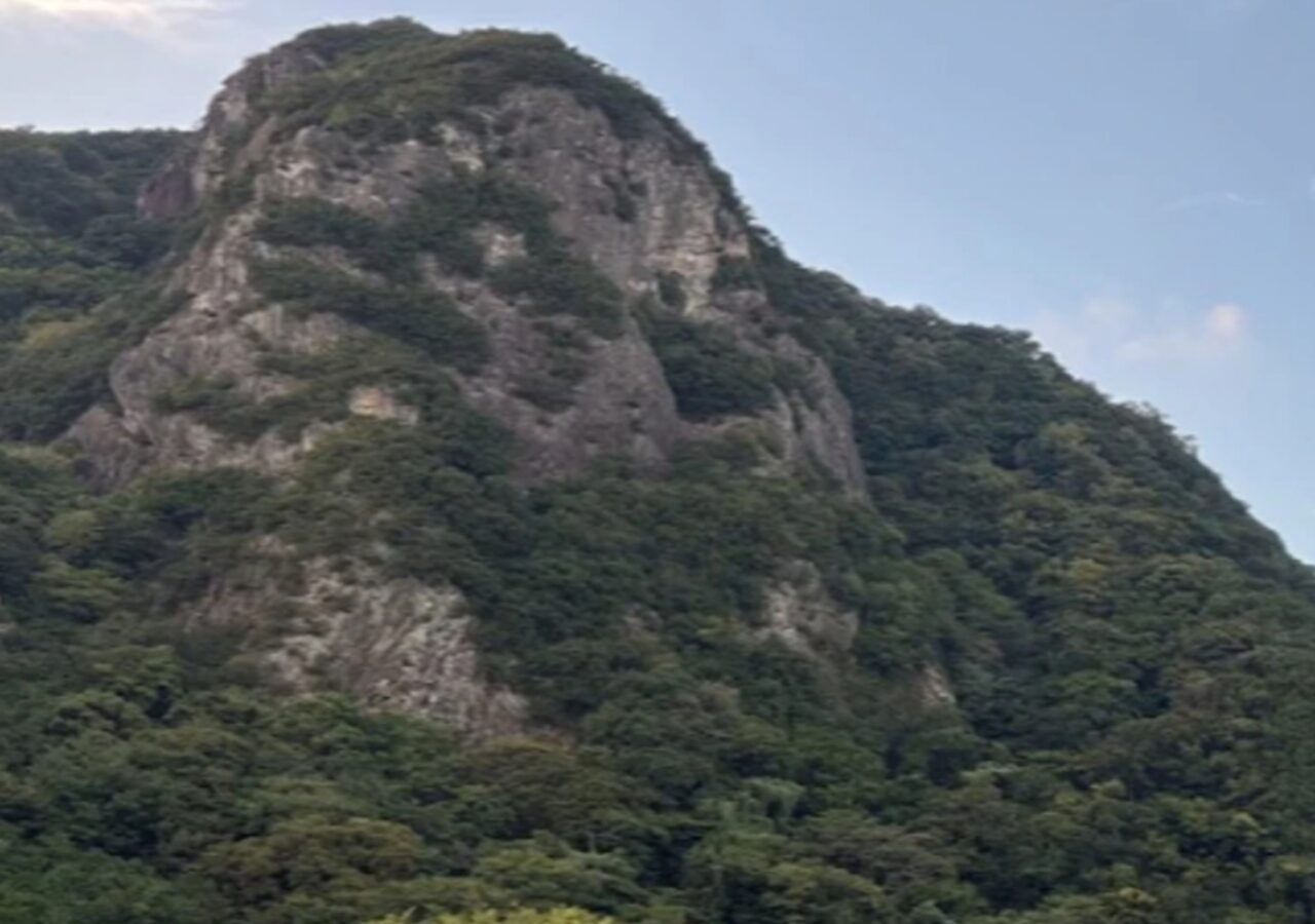 伊豆城山