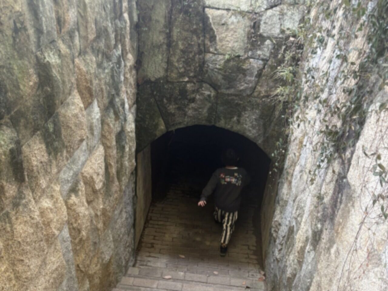 探検
