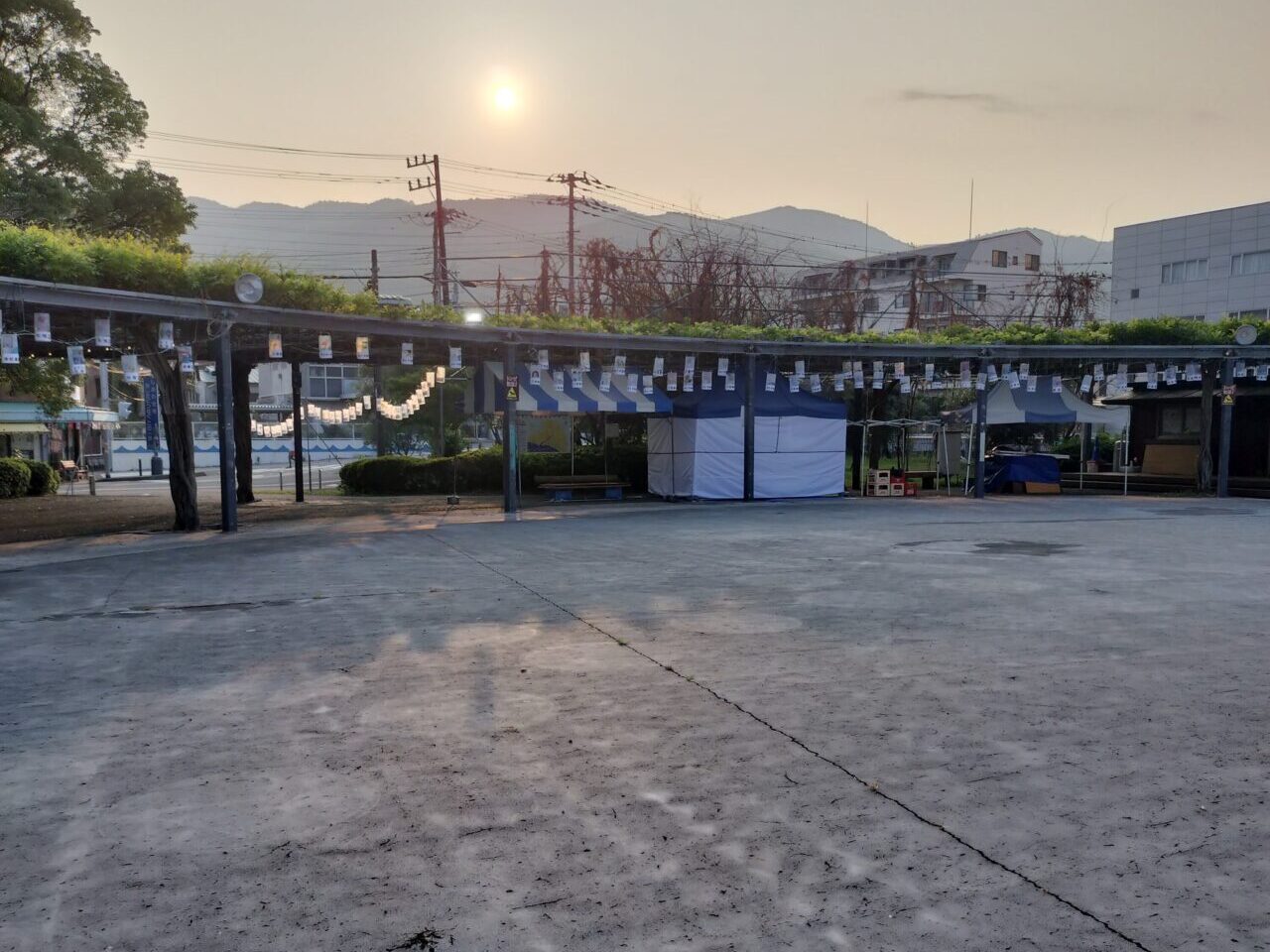 松川藤の広場