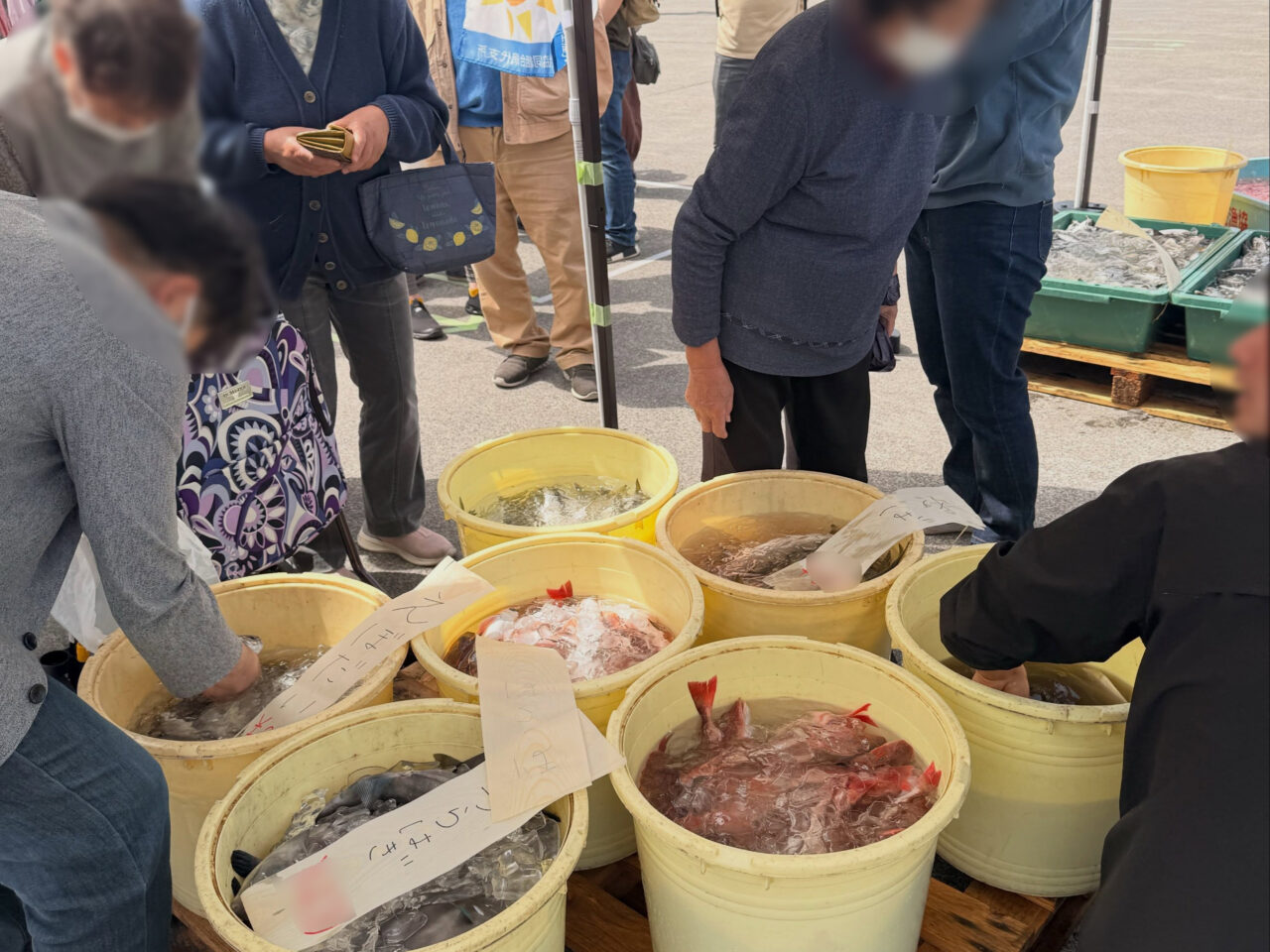 網代日曜市