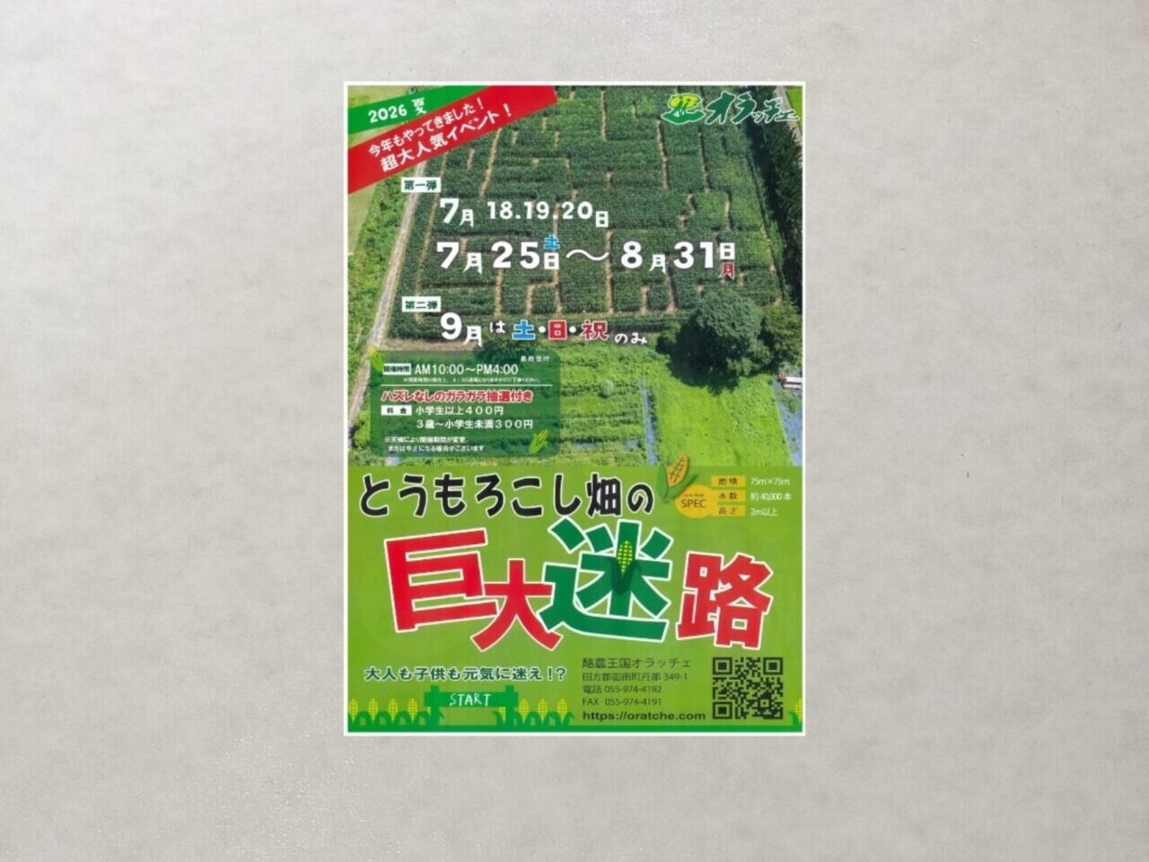 とうもろこし巨大迷路