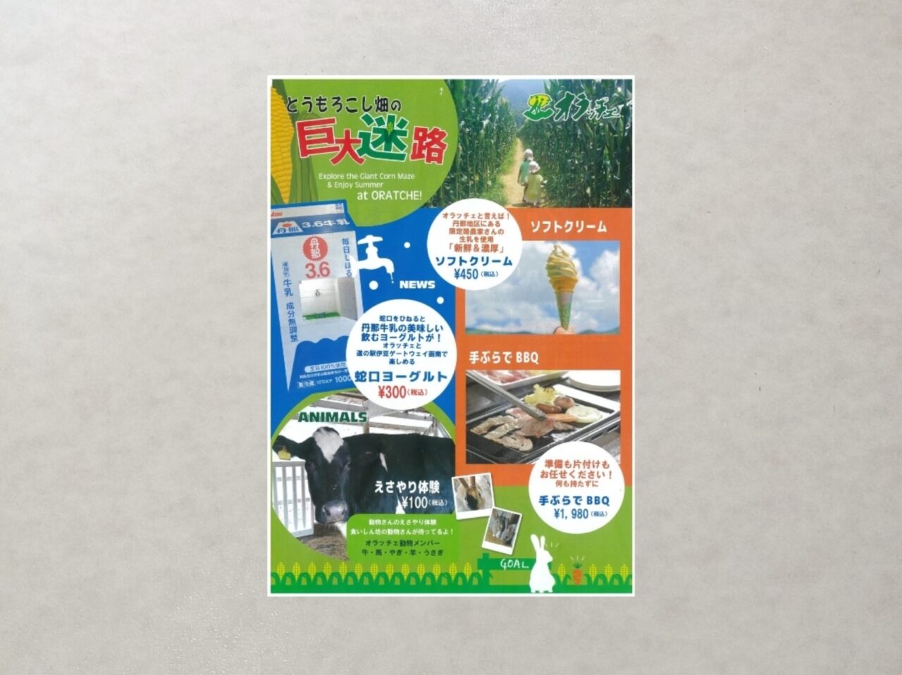 とうもろこし巨大迷路