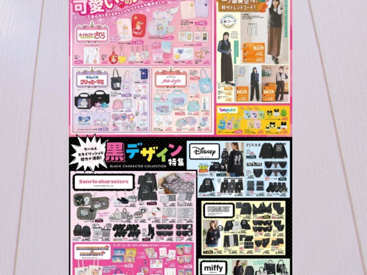シャンブルチラシ
