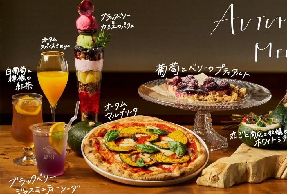 アカオフォレスト