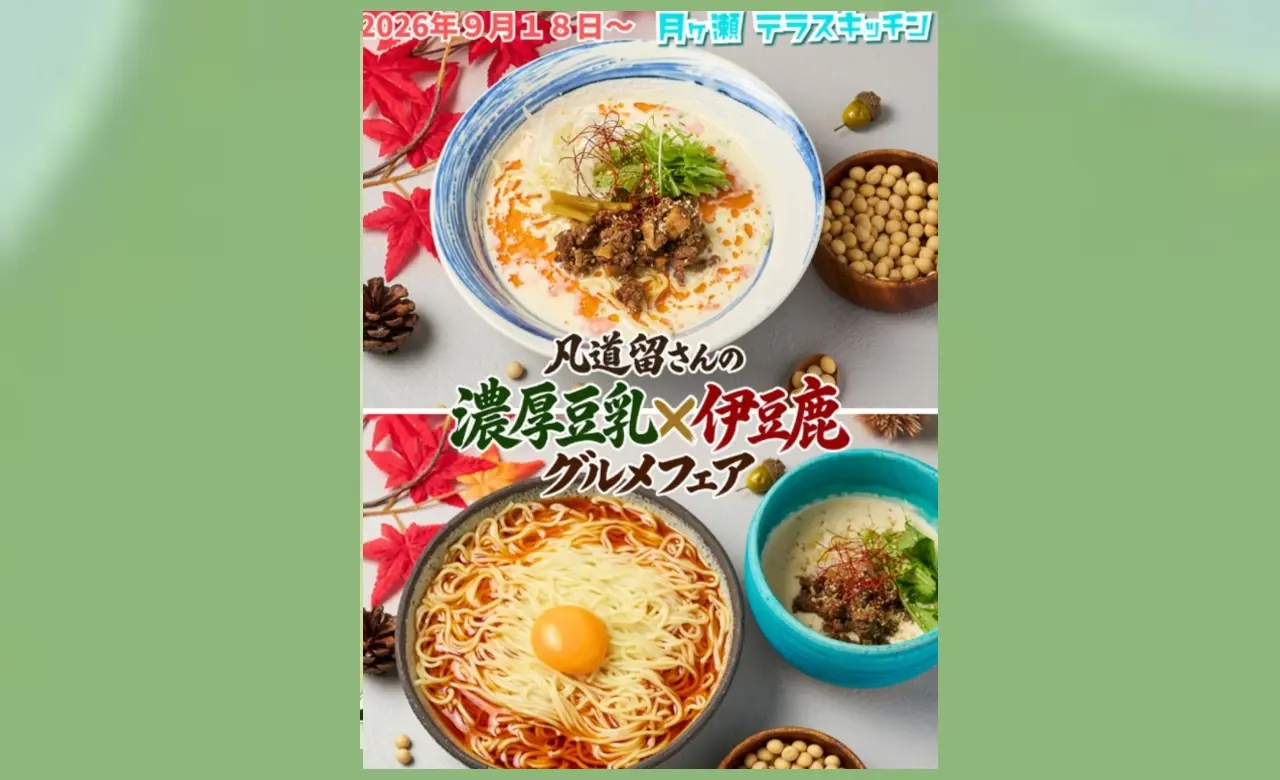 ぼんどーる