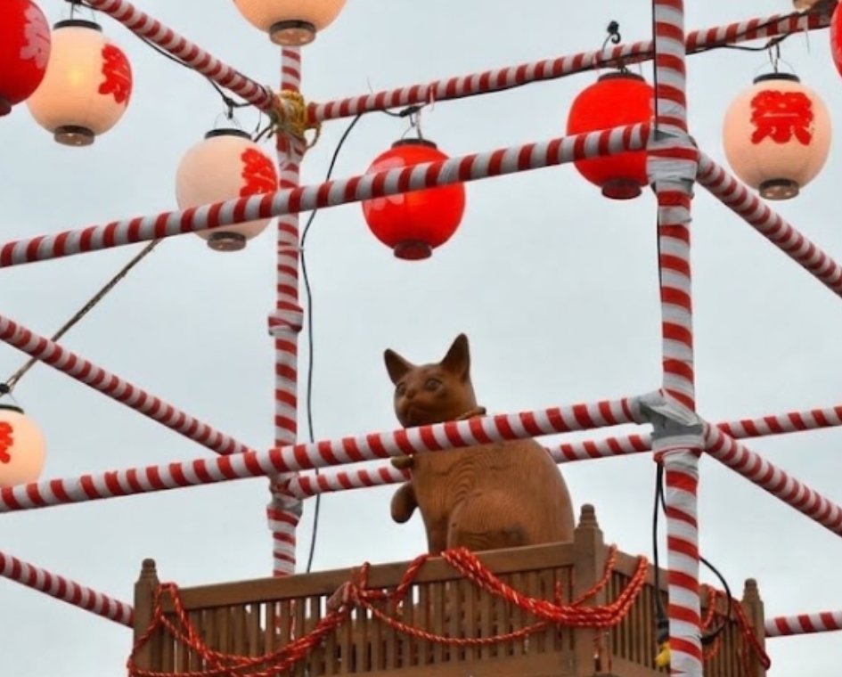 猫おどり