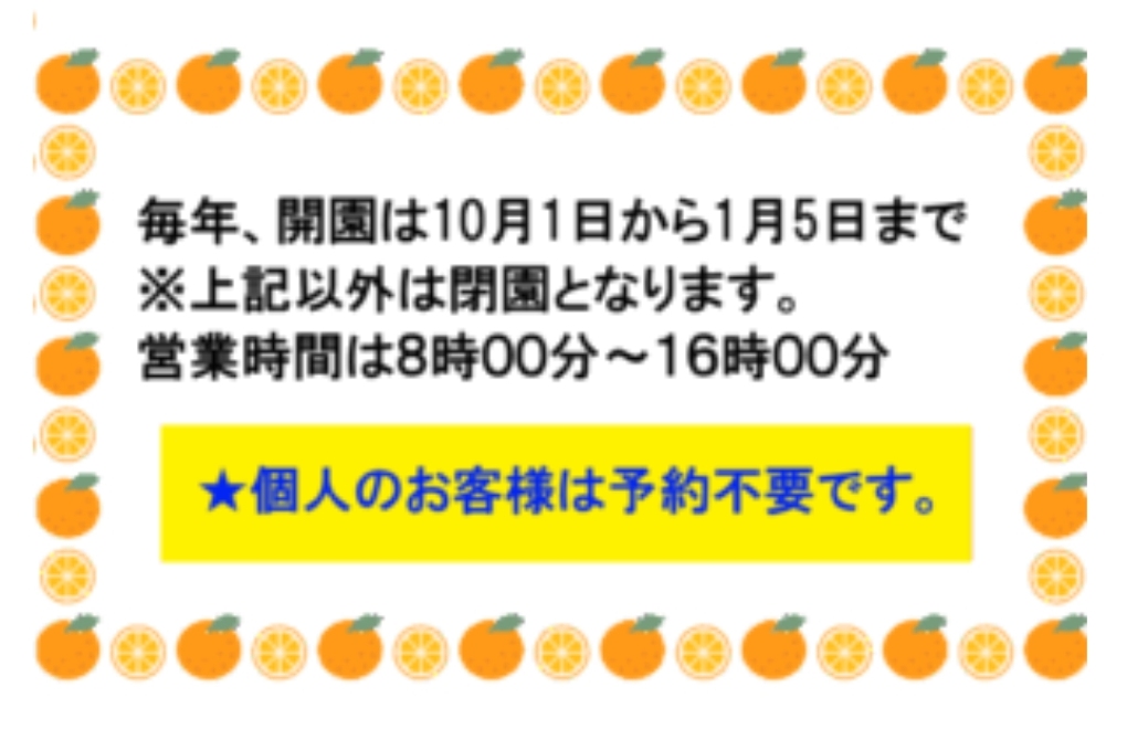 小坂みかん