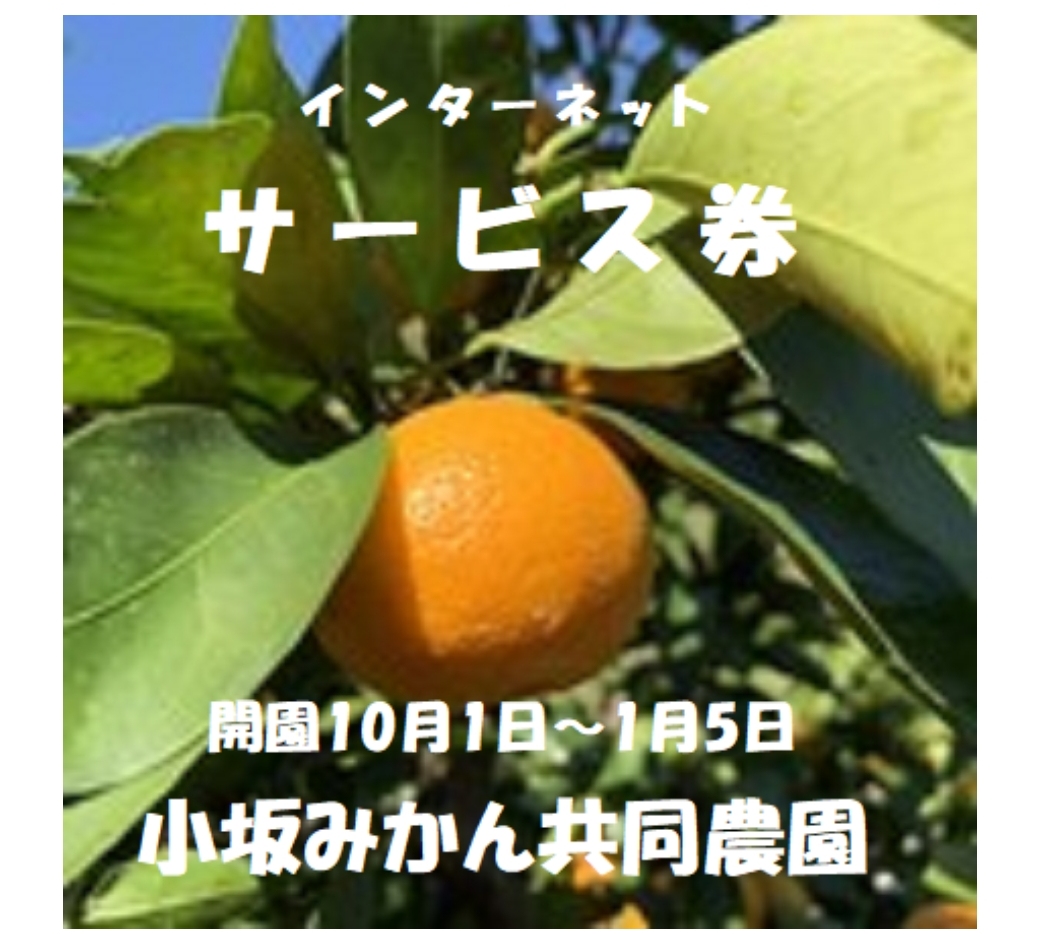 小坂みかん共同農園様