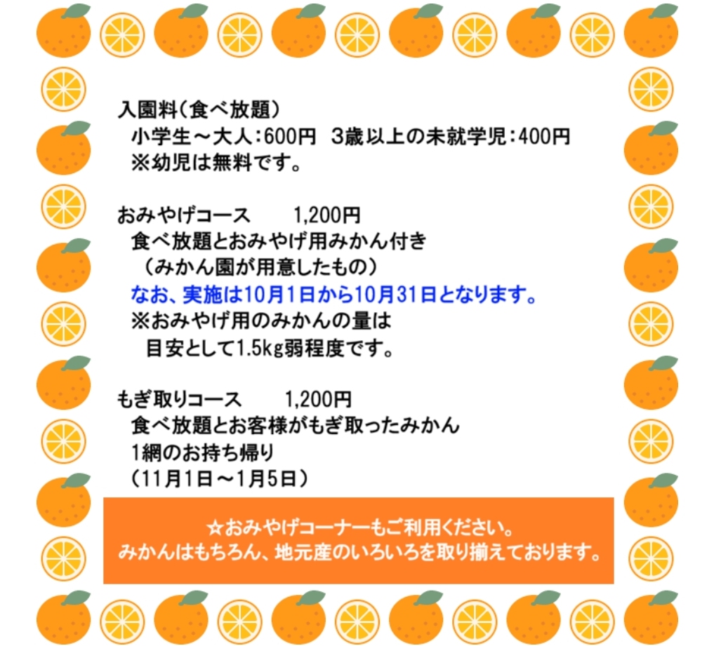 小坂みかん